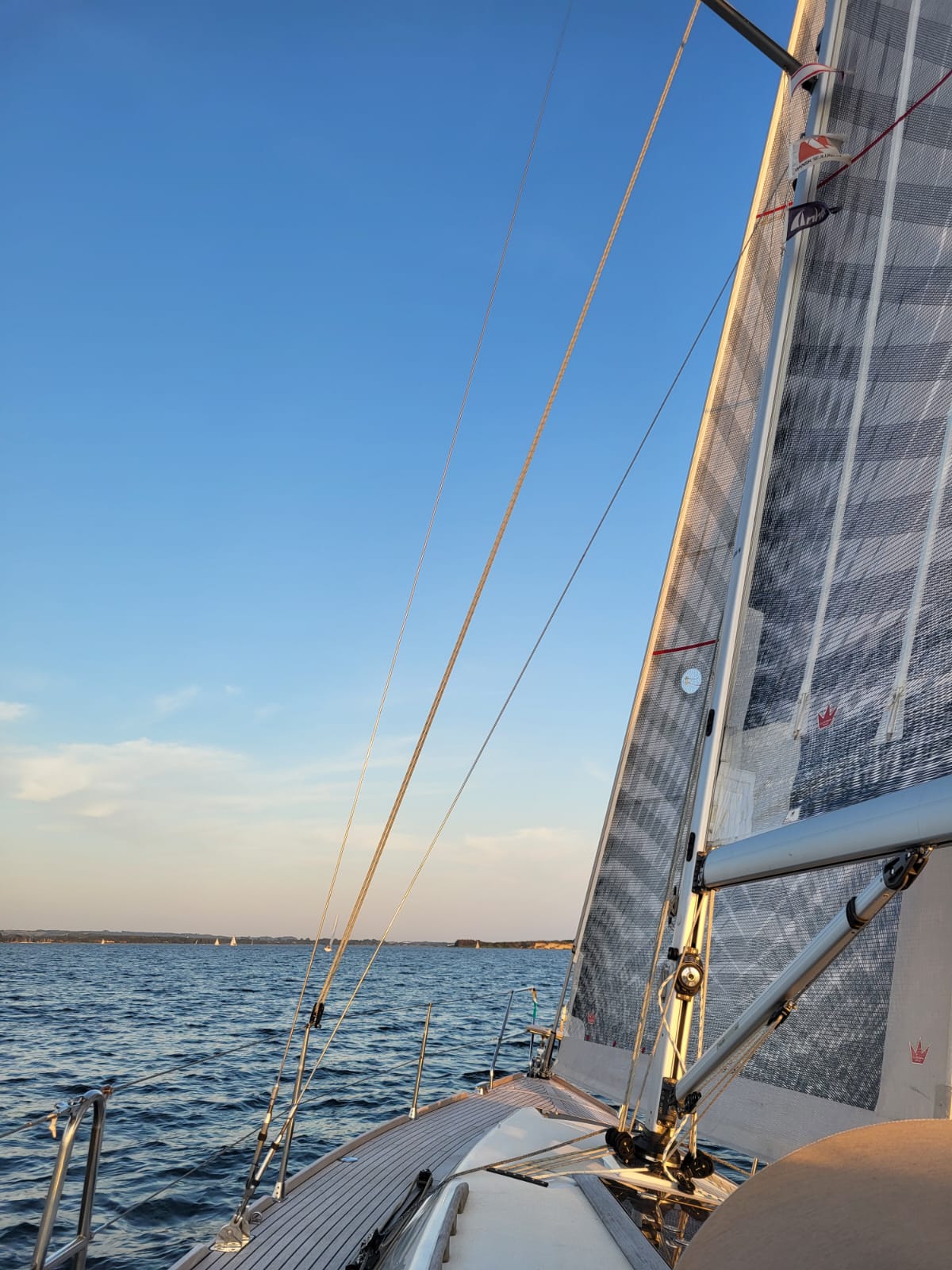 Training / Mediation – Frank Sbrzesny